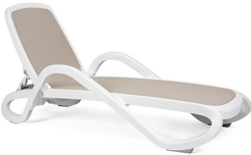 ������� Alfa Tortora ������ �����, ����� ������-����������