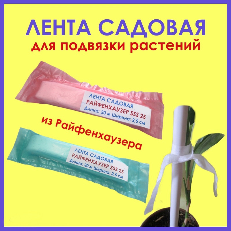 ������� ����� � ���� Reifenhauser